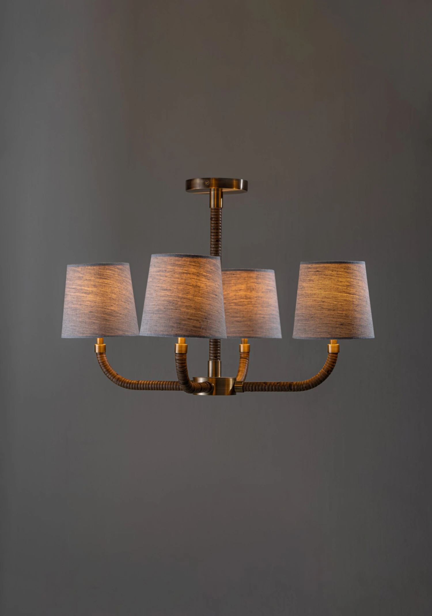 Holden Ceiling Light - Image 4