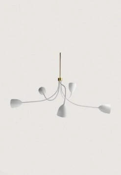 Tulip Ceiling Light