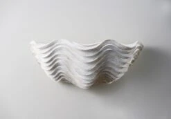 Clam Shell Wall Light Large