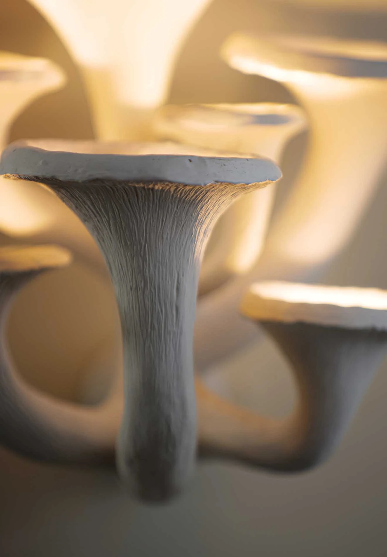 Mushroom Wall Light Small - Image 3