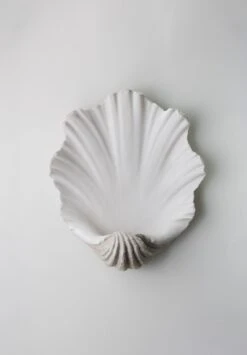Scallop Shell Wall Light