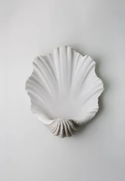 Scallop Shell Wall Light