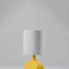 Sway Lamp