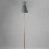 Daphne Floor Lamp